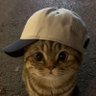 tejaswii's profile picture