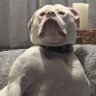 Touched_by_the_fatigue's profile picture