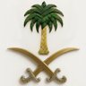 saud 的头像