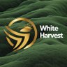 Profilbild von White Harvest Org