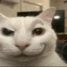 Yume profil fotoğrafı