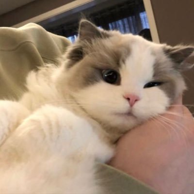 aisy's profile picture