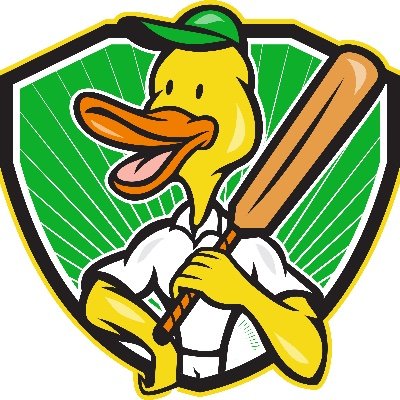 Office of the Ducks of Cricket's profile picture