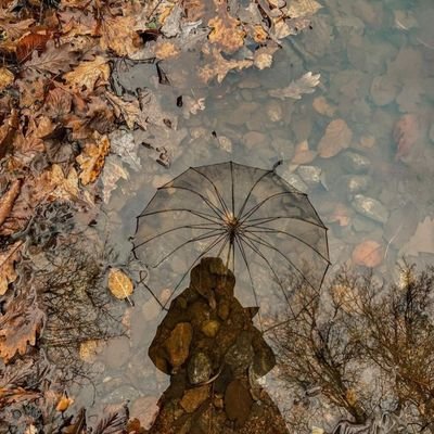 KAS34_JO's profile picture