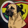 Maranellodakı Kangal profil fotoğrafı
