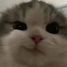 Profilbild von mo