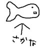 もちねこ🐈✨'s profile picture