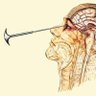 Фото профиля icepick