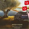 Ayfer Avşar .X.📚✍️🇹🇷🌍🇹🇷 profil fotoğrafı
