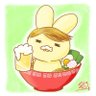 Profilbild von えんちゃん(旧きいろいうさぎ)