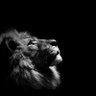 Фото профиля DailyMotivation