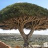 Фото профиля حب اليمن اولآ