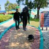 SAMIR RIZVI profil fotoğrafı