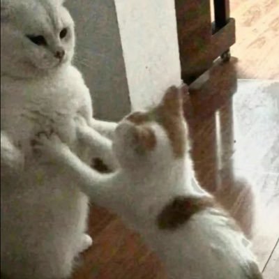 icenkeby's profile picture