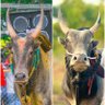 kumar king's profile picture