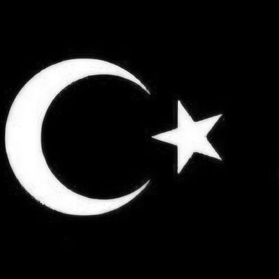 militaristruhu's profile picture