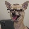 Profilbild von Electron_Js