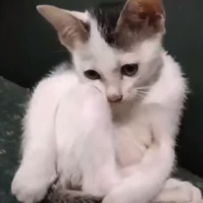 𝐏𝐚𝐫𝐚𝐝𝐢𝐬𝐞's profile picture