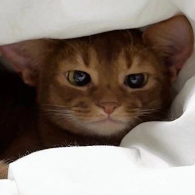 tutukn756945's profile picture