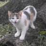 苏星冉 profil fotoğrafı