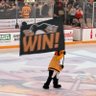 andi💛🖤's profile picture