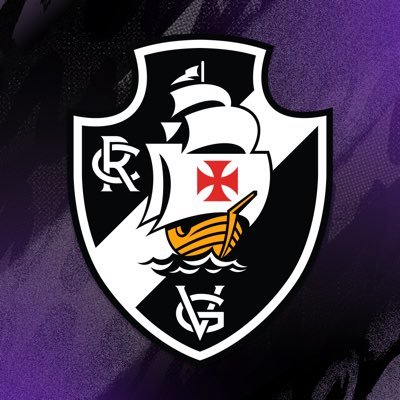 Vasco Feminino's profile picture
