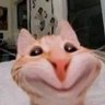 القط المتهور's profile picture