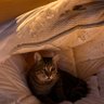 helloworld's profile picture