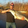 Kevin Cole's profile picture