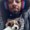 Alan loves the girlies ⚧️'s profile picture