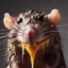 Profilbild von The damn rat