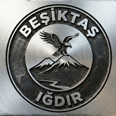 Beşiktaş Iğdır's profile picture