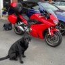 All TThe gear no idea 🏍️🚕🚛💨 profil fotoğrafı