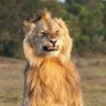 All Time's profile picture