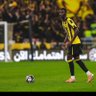 فيصل's profile picture