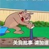 铁拳砸不醒's profile picture