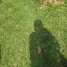 Daisy Flo's profile picture