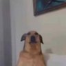 becario's profile picture