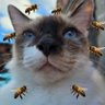 AnA's profile picture