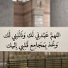 سَلامـة نـادر🌸 profil fotoğrafı