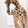 Фото профиля Gabriela Rahardja