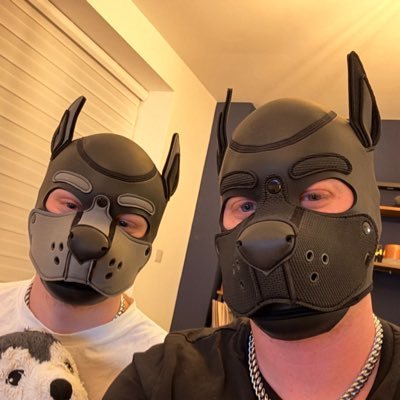 pup_comet's profile picture