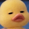 ᵖˡˢ Igloo's profile picture