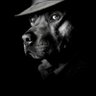 Profilbild von Ant