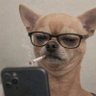 Profilbild von 90sCoded