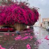 Фото профиля أبو محمد