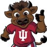 Hoosier Da Bison 的头像