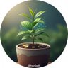 Gautham 🪴 profil fotoğrafı