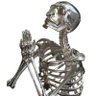 Фото профиля Silver Bones