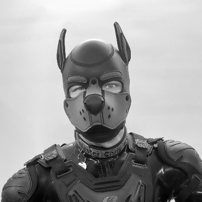 SM-81's profile picture